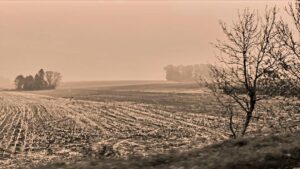 Campagne dans la brume